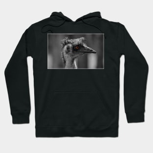 Mr Emu Hoodie